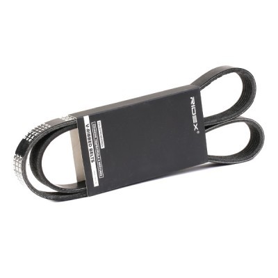 Pasek Klinowy Wielorowkowy RIDEX 305P0242 305P0242 - foto 2