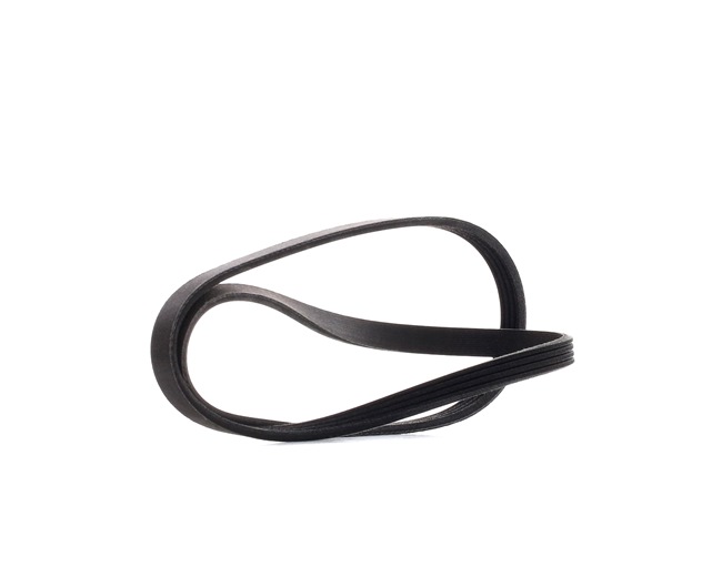 Pasek Klinowy Wielorowkowy RIDEX 305P0022P 305P0022P - foto 1