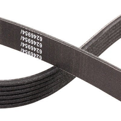 Pasek Klinowy Wielorowkowy RIDEX 305P0080P 305P0080P - foto 5
