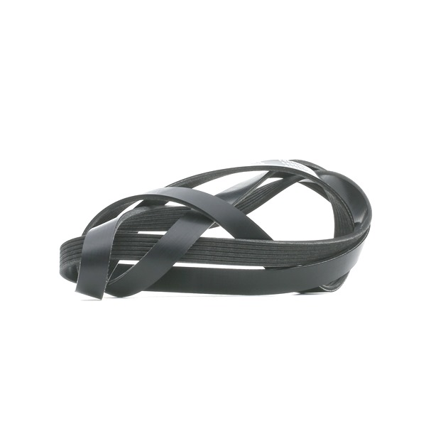 Pasek Klinowy Wielorowkowy RIDEX 305P0333 305P0333 - foto 1