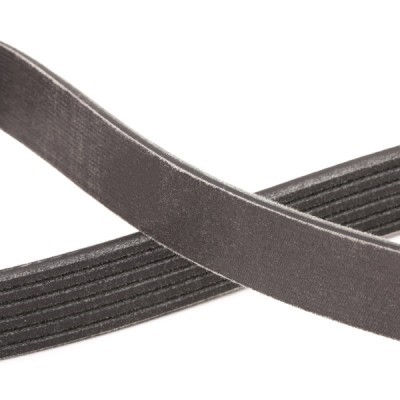 Pasek Klinowy Wielorowkowy RIDEX 305P0146P 305P0146P - foto 5