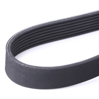 Pasek Klinowy Wielorowkowy RIDEX 305P0507 305P0507 - foto 4