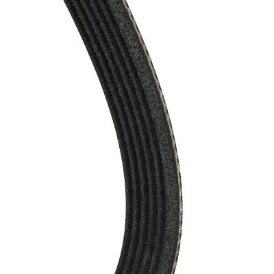 Pasek Klinowy Wielorowkowy RIDEX 305B0285P 305B0285P - foto 10