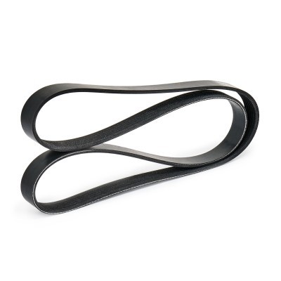 Pasek Klinowy Wielorowkowy RIDEX 305P0179 305P0179 - foto 5