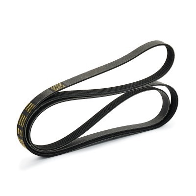 Pasek Klinowy Wielorowkowy RIDEX 305P0206P 305P0206P - foto 3