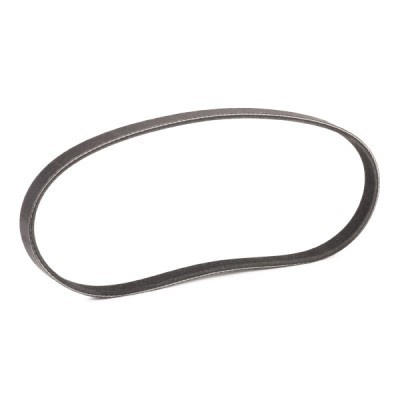 Pasek Klinowy Wielorowkowy RIDEX 305P0479P 305P0479P - foto 3