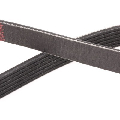 Pasek Klinowy Wielorowkowy RIDEX 305P0224P 305P0224P - foto 5