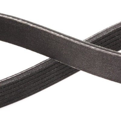 Pasek Klinowy Wielorowkowy RIDEX 305P0194P 305P0194P - foto 5