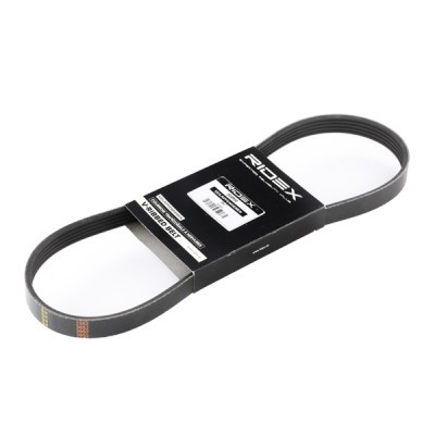 Pasek Klinowy Wielorowkowy RIDEX 305P0218 305P0218 - foto 2