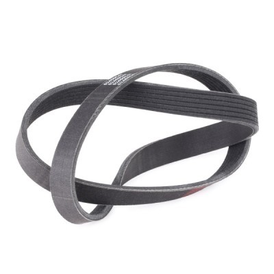 Pasek Klinowy Wielorowkowy RIDEX 305P0052P 305P0052P - foto 3