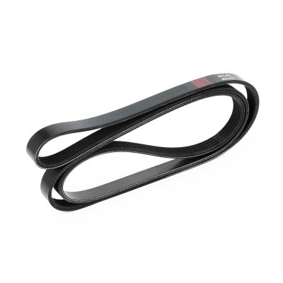 Pasek Klinowy Wielorowkowy RIDEX 305P0044 305P0044 - foto 4