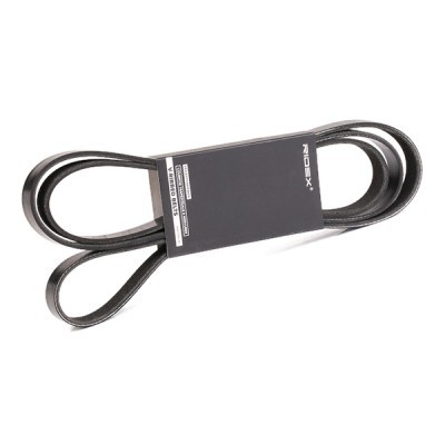 Pasek Klinowy Wielorowkowy RIDEX 305P0158 305P0158 - foto 2