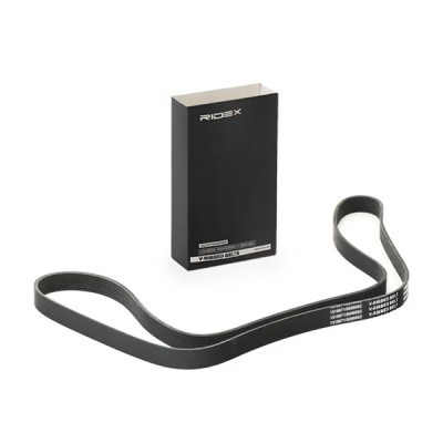 Pasek Klinowy Wielorowkowy RIDEX 305P0246 305P0246 - foto 2