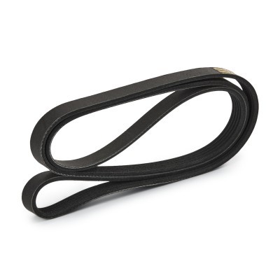 Pasek Klinowy Wielorowkowy RIDEX 305P0380P 305P0380P - foto 4