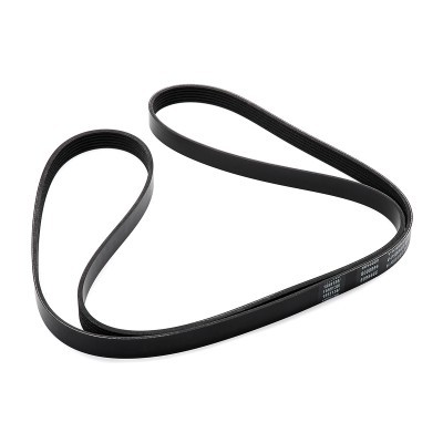 Pasek Klinowy Wielorowkowy RIDEX 305P0248 305P0248 - foto 3