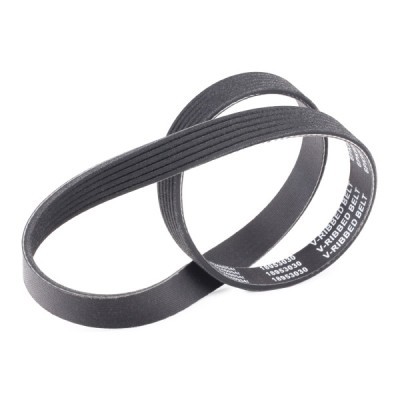 Pasek Klinowy Wielorowkowy RIDEX 305P0048P 305P0048P - foto 3