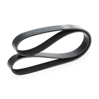 Pasek Klinowy Wielorowkowy RIDEX 305P0129 305P0129 - foto 4