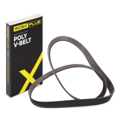 Pasek Klinowy Wielorowkowy RIDEX 305P0339P 305P0339P - foto 3