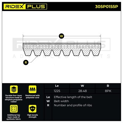 Pasek Klinowy Wielorowkowy RIDEX 305P0155P 305P0155P - foto 3