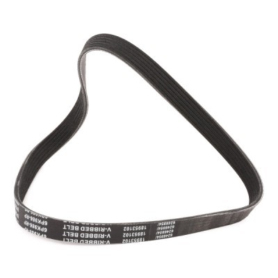 Pasek Klinowy Wielorowkowy RIDEX 305P0494P 305P0494P - foto 3