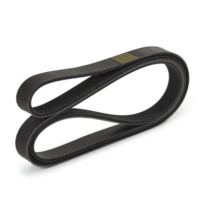 Pasek Klinowy Wielorowkowy RIDEX 305P0072P 305P0072P - foto 4