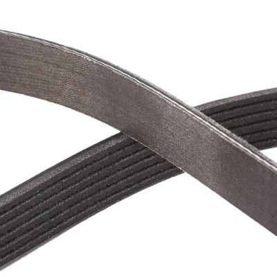 Pasek Klinowy Wielorowkowy RIDEX 305P0396P 305P0396P - foto 5