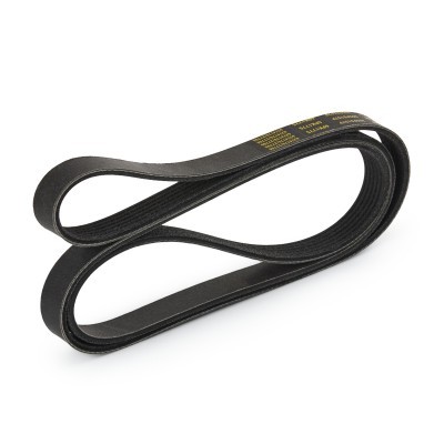 Pasek Klinowy Wielorowkowy RIDEX 305P0157P 305P0157P - foto 4