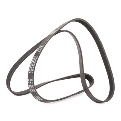 Pasek Klinowy Wielorowkowy RIDEX 305P0370P 305P0370P - foto 4