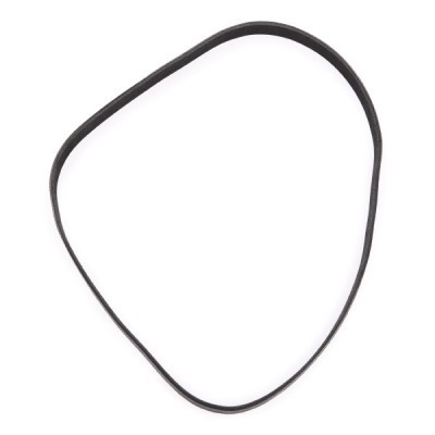 Pasek Klinowy Wielorowkowy RIDEX 305P0406P 305P0406P - foto 3