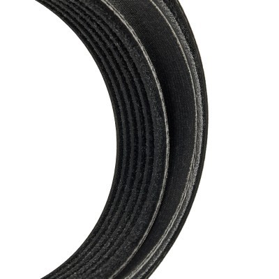 Pasek Klinowy Wielorowkowy RIDEX 305P0206P 305P0206P - foto 4