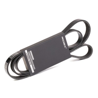Pasek Klinowy Wielorowkowy RIDEX 305P0171 305P0171 - foto 2