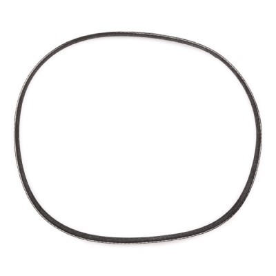 Pasek Klinowy Wielorowkowy RIDEX 305P0479P 305P0479P - foto 4