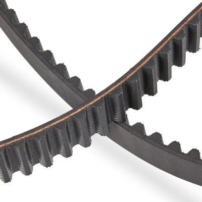 Pasek Rozrządu RIDEX 306T0002P 306T0002P - foto 5