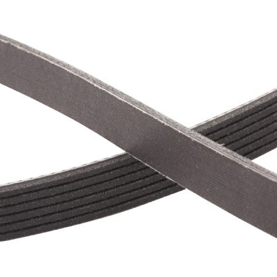 Pasek Klinowy Wielorowkowy RIDEX 305P0350P 305P0350P - foto 5