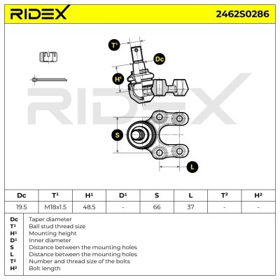 Sworzeń wahacza RIDEX 2462S0286 2462S0286 - foto 5