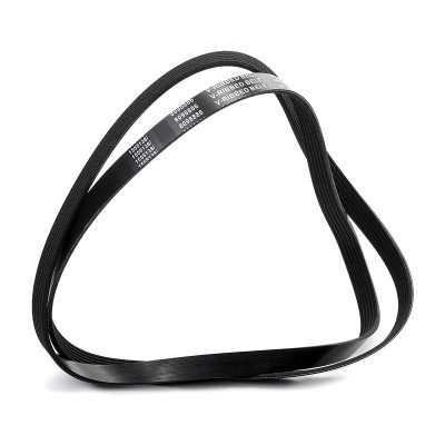 Pasek Klinowy Wielorowkowy RIDEX 305P0248 305P0248 - foto 4