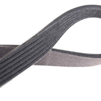 Pasek Klinowy Wielorowkowy RIDEX 305P0163P 305P0163P - foto 4