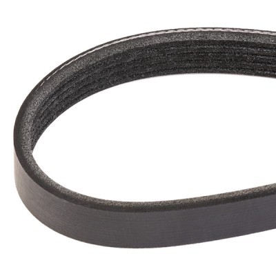 Pasek Klinowy Wielorowkowy RIDEX 305P0176 305P0176 - foto 3