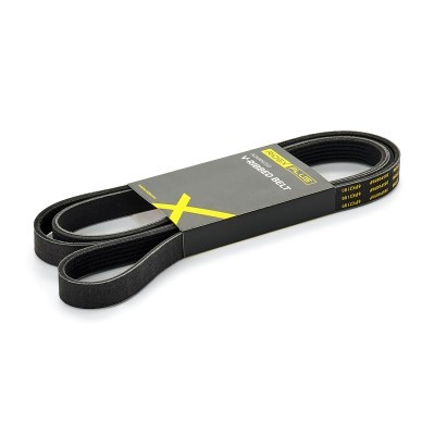 Pasek Klinowy Wielorowkowy RIDEX 305P0096P 305P0096P - foto 2