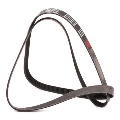 Pasek Klinowy Wielorowkowy RIDEX 305B0285P 305B0285P - foto 4
