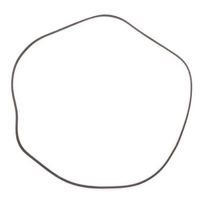 Pasek Klinowy Wielorowkowy RIDEX 305P0315P 305P0315P - foto 4