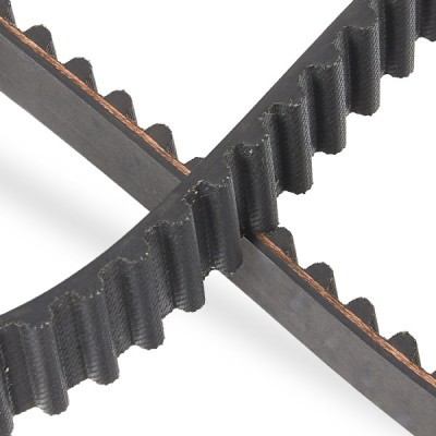 Pasek Rozrządu RIDEX 306T0014P 306T0014P - foto 5