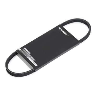 Pasek Klinowy Wielorowkowy RIDEX 305P0504 305P0504 - foto 2