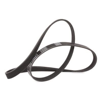 Pasek Klinowy Wielorowkowy RIDEX 305P0289P 305P0289P - foto 3