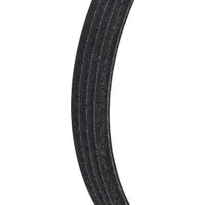 Pasek Klinowy Wielorowkowy RIDEX 305P0644 305P0644 - foto 4