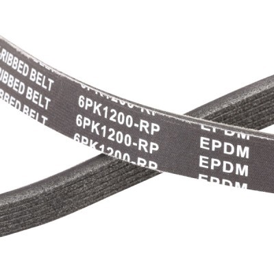 Pasek Klinowy Wielorowkowy RIDEX 305P0064P 305P0064P - foto 5