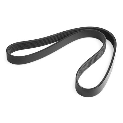 Pasek Klinowy Wielorowkowy RIDEX 305P0165 305P0165 - foto 7