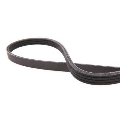 Pasek Klinowy Wielorowkowy RIDEX 305P0326P 305P0326P - foto 4