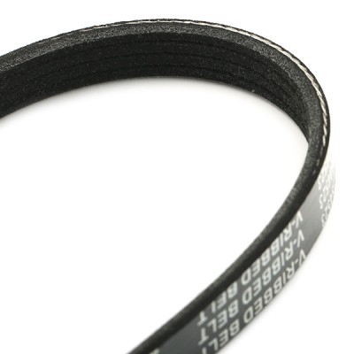 Pasek Klinowy Wielorowkowy RIDEX 305P0437 305P0437 - foto 4