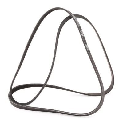 Pasek Klinowy Wielorowkowy RIDEX 305P0098P 305P0098P - foto 3